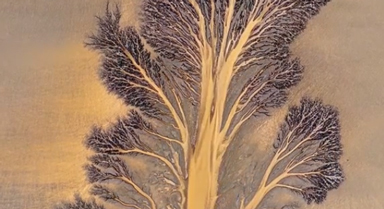 大自然的杰作!錢(qián)塘江又現(xiàn)“潮汐樹(shù)”